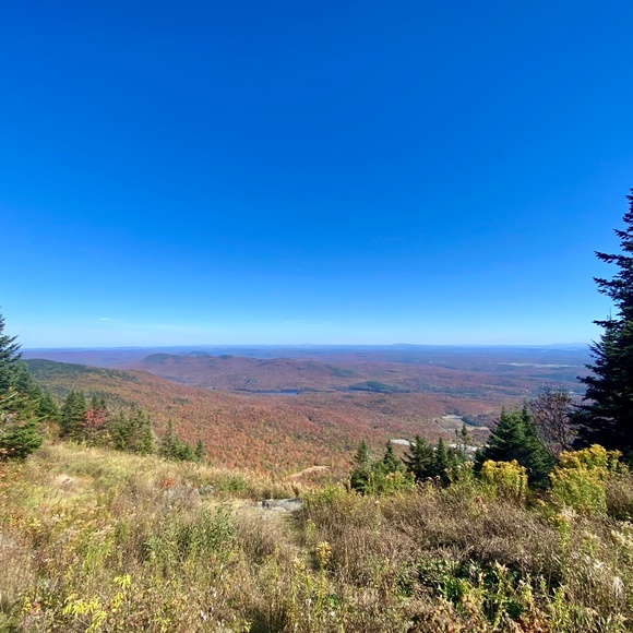 Meet your Posher, Dominique - Picture 1 of 1